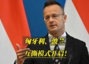 pa真人视讯-波兰淘汰匈牙利，力争下一场胜利的简单介绍