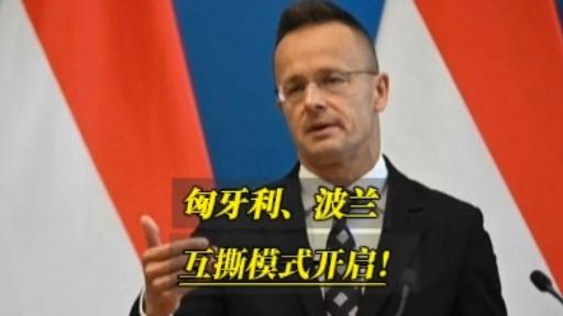 波兰淘汰匈牙利，力争下一场胜利的简单介绍